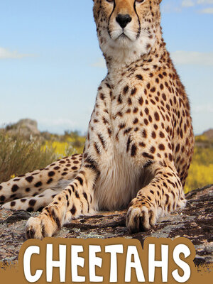 cover image of Cheetahs